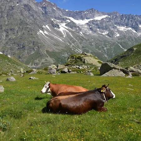 Chalet Il Nido *