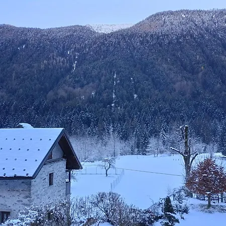 Il Nido Ceppo Morelli