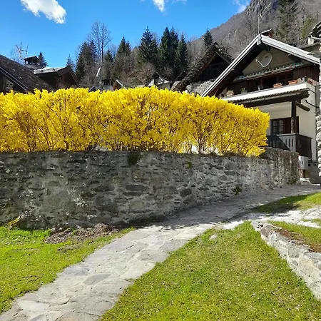Il Nido Chalet *