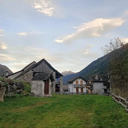 Il Nido