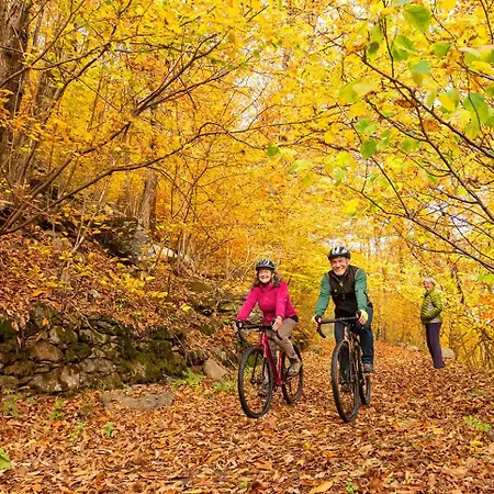 Il Nido * Ceppo Morelli