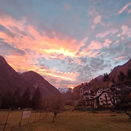 Il Nido * Ceppo Morelli