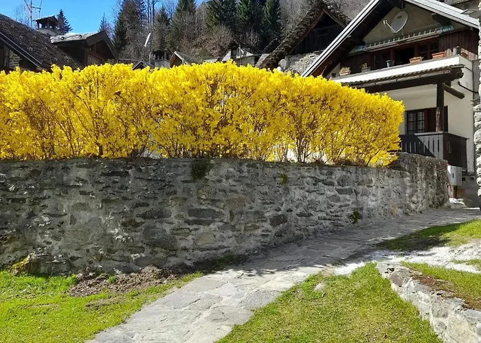 Il Nido Chalet *
